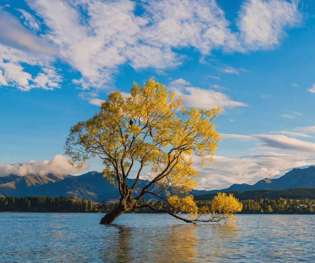 Why autumn might be the smartest time to see New Zealand