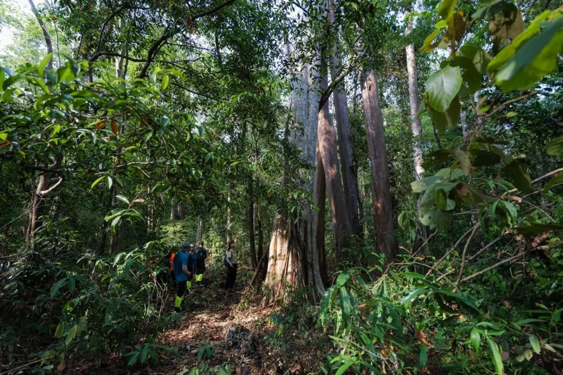 Cat Tien Ranger Patrol: Vietnam's Conservation Tour That Puts You to Work