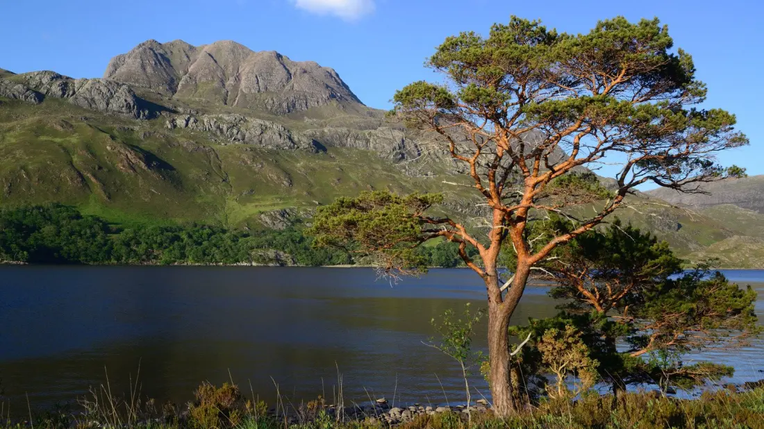 Scotland's 10 Biggest Lochs, From Loch Lomond to the Shores of Loch Ericht
