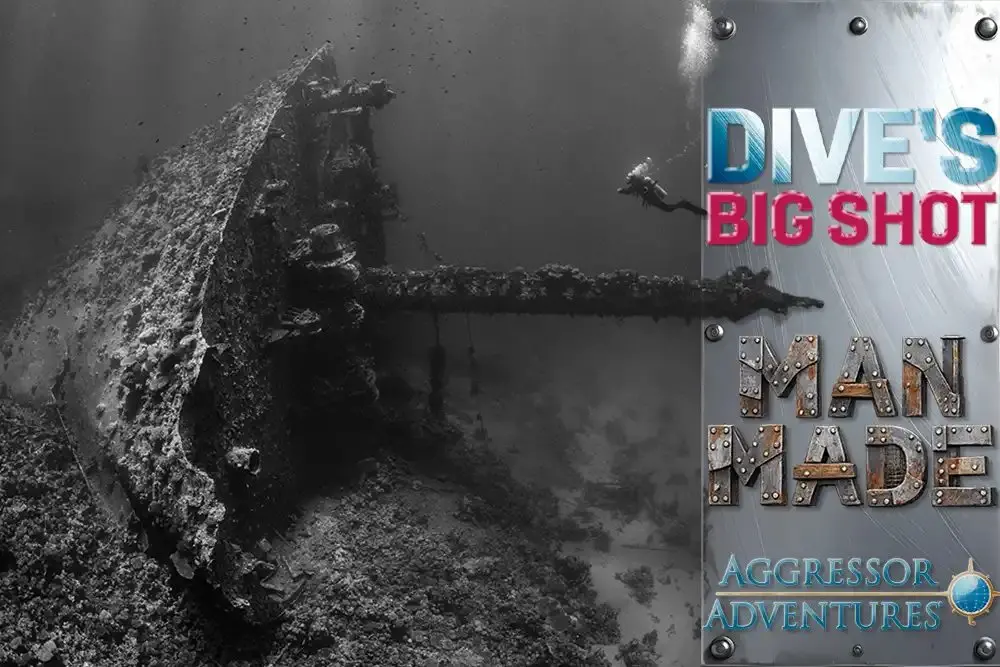 Sunken prams, wrecked tankers and a Red Sea giant: the winning shots in DIVE's underwater photo contest