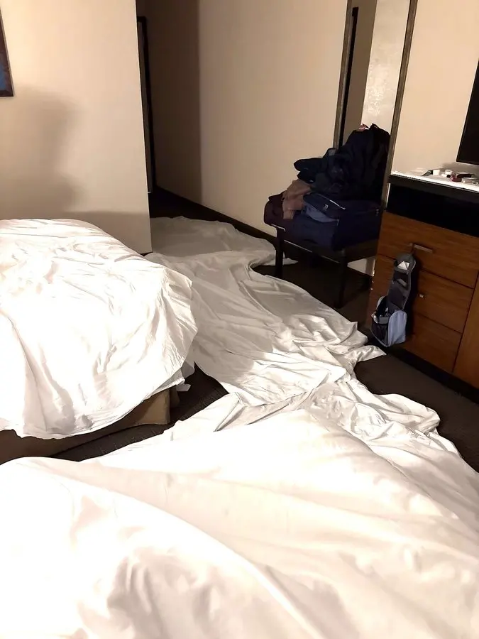 When Your Airline's Delay Hotel Is a Roach Motel: Why You Should Book Your Own Room