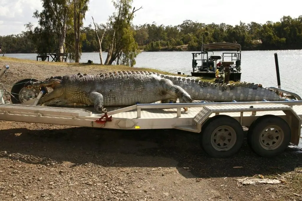 Rowing With Crocodiles? The Fitzroy River Is Officially Brisbane 2032's Olympic Course