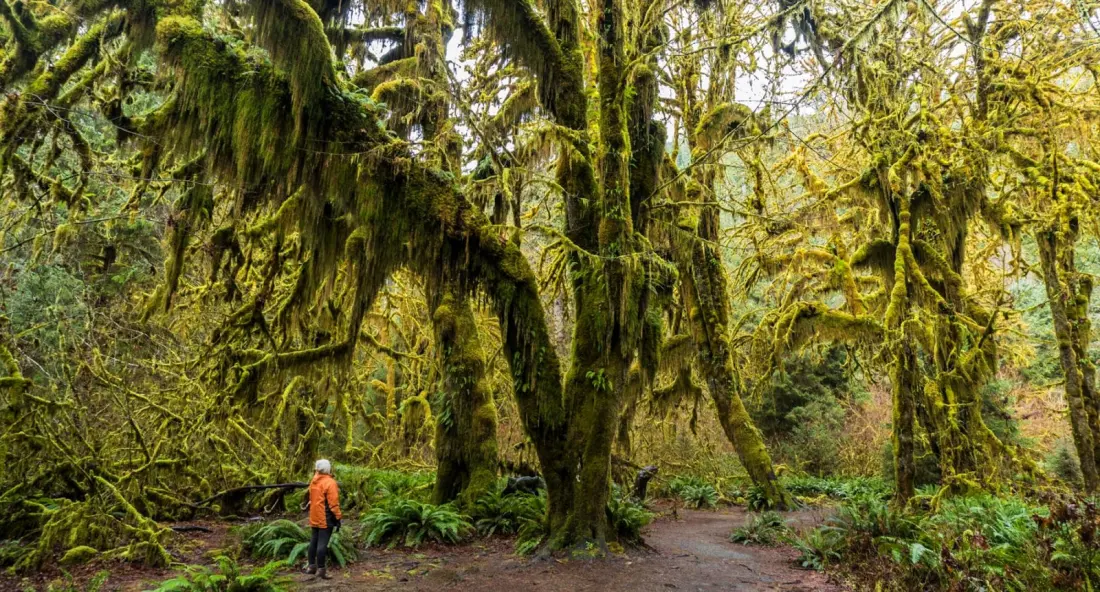 Washington State: one corner of the USA, four seasons of adventure