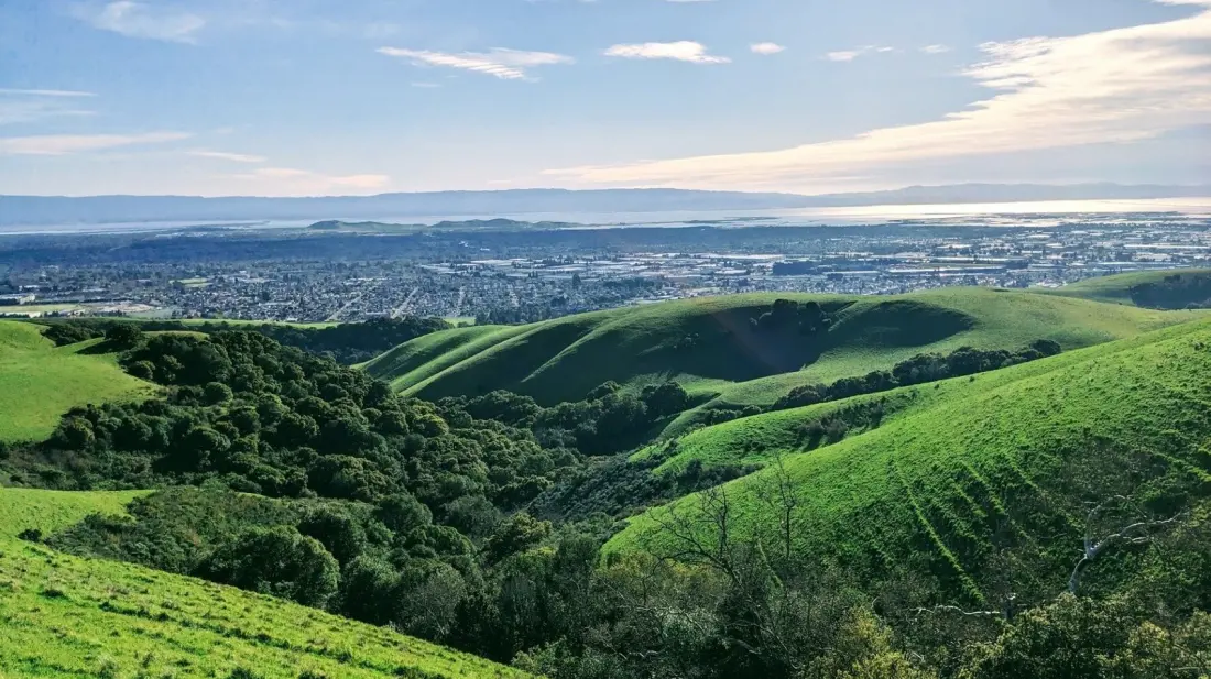 Union City: The Easygoing East Bay Base Between San Francisco and San Jose