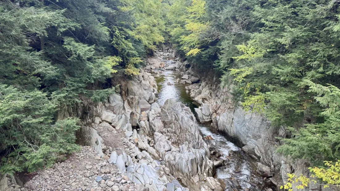 Chasing 19 Miles and a Formula One Race on Vermont's Appalachian Trail