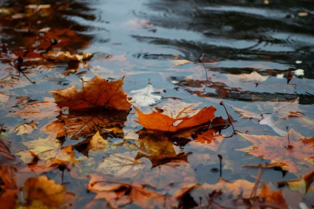 Portugal's autumn turn: storms and wind this week — but no 'bomb cyclone', say forecasters