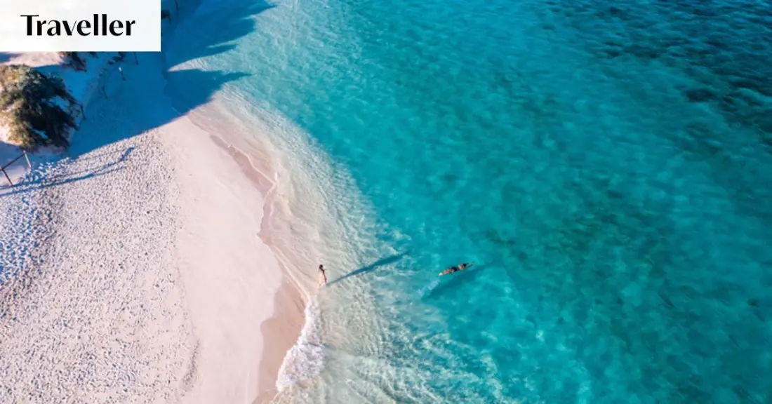 Ningaloo Reef is back and booming after Cyclone Narelle — and the timing couldn't be better
