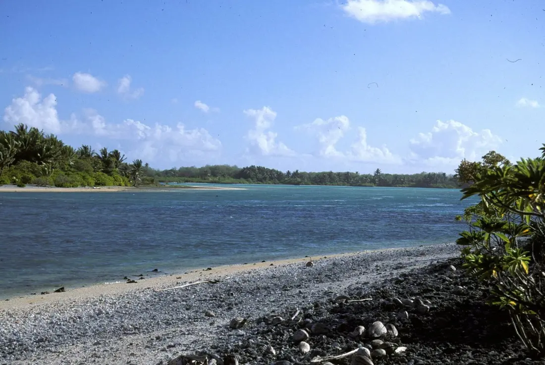 An expedition to Nikumaroro may finally solve the Amelia Earhart mystery