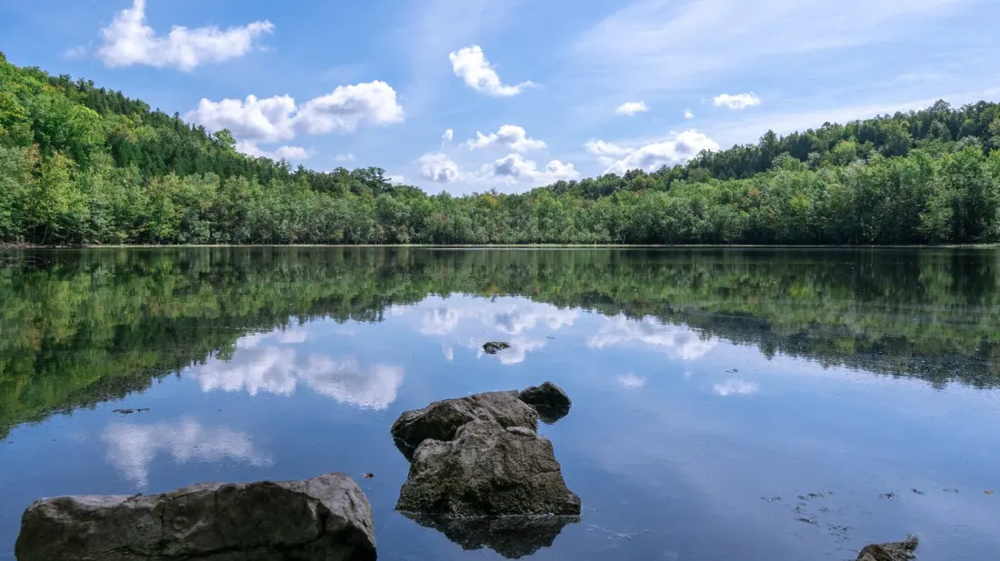 Clark Reservation State Park: The Glacial Plunge-Pool Lake Hiding Six Miles From Syracuse