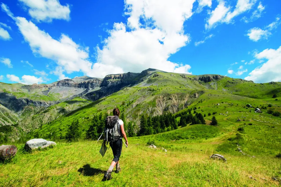 Skip the Riviera Traffic: Where to Find Wolves, Bison and Alpine Coasters in the Alpes-Maritimes