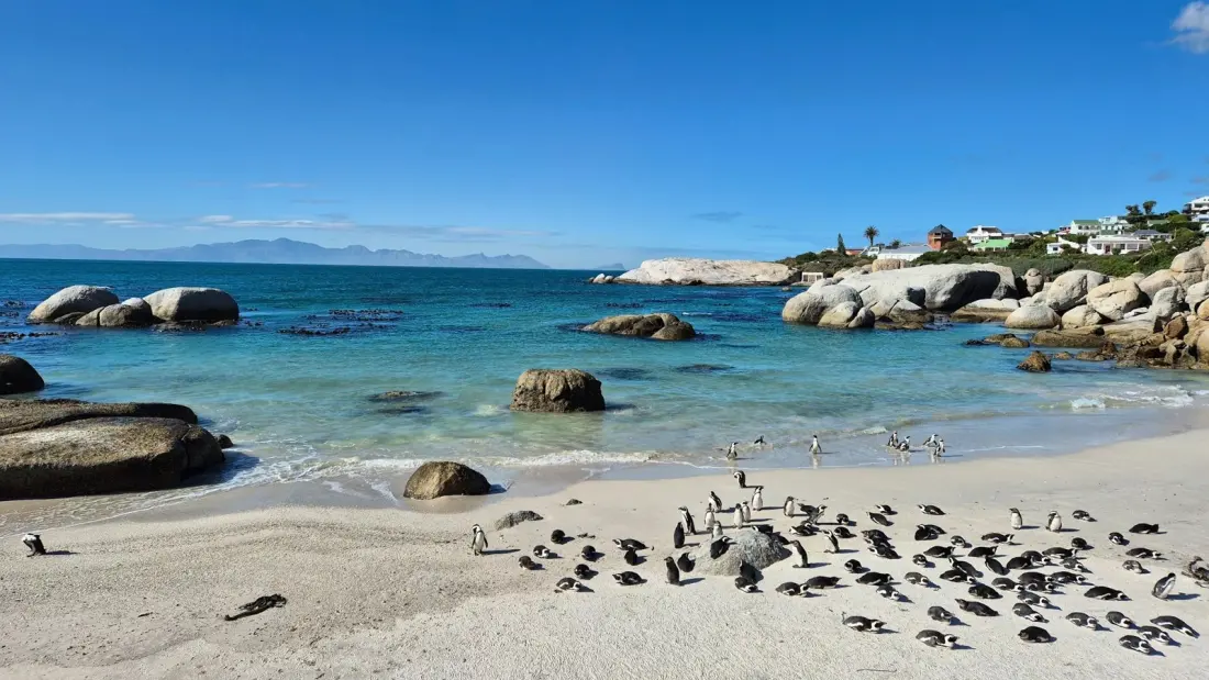 Cape Town pensioners can visit six top nature spots for about R17 a trip with the My Green Card
