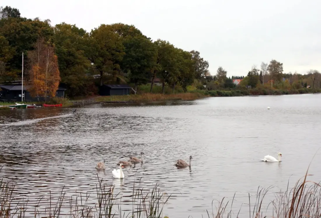 Tange Sø: Denmark's biggest artificial lake is a quiet Jutland escape for anglers and hikers