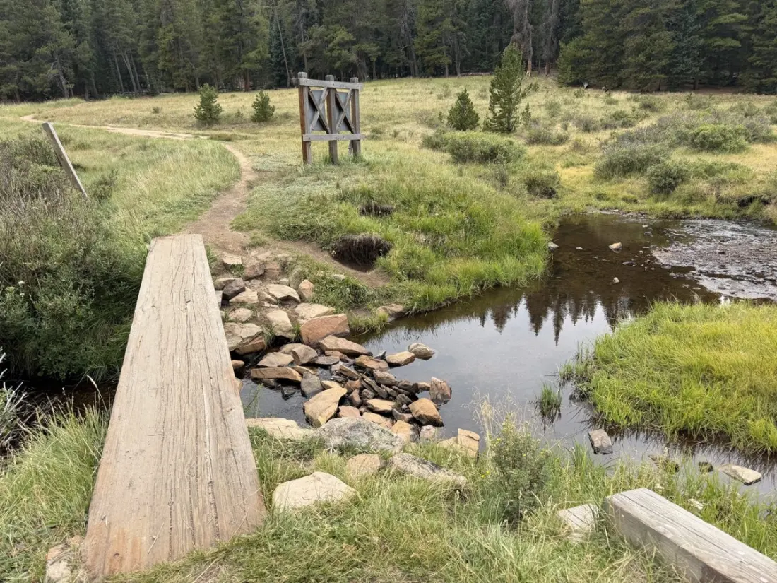 Climbing to 10,000 Feet on the Colorado Trail: A Day 6 Trail Diary