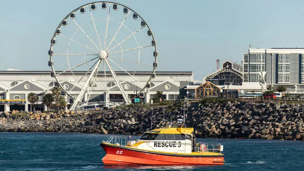 Cape Town sea rescues: 37 cruise passengers and a father-and-son duo saved in a single afternoon