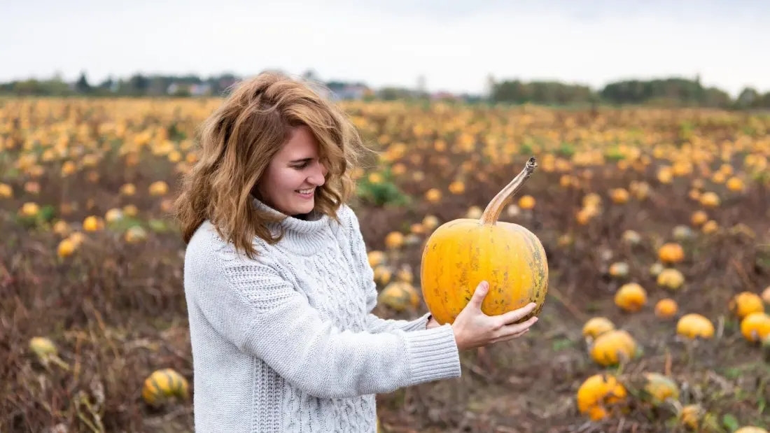 Calgary's weekend line-up runs from pumpkin trails to ghost hunts