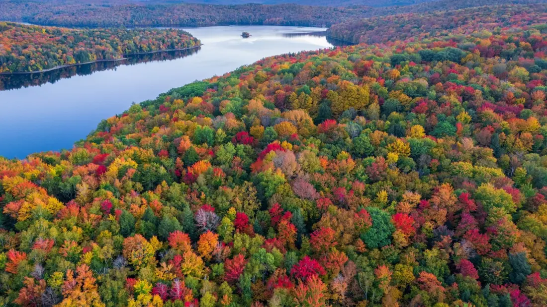 Why America's Fall Foliage Season Is Getting Harder to Time
