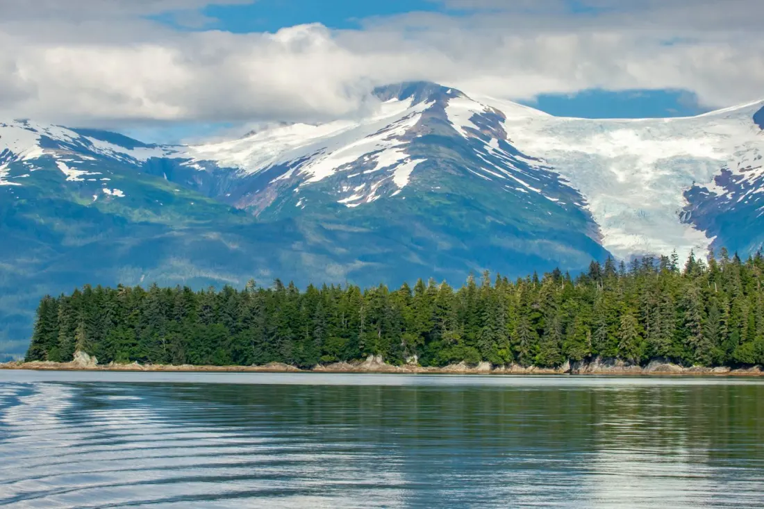 US Moves to Scrap the Roadless Rule: What It Means for America's Wild Forests
