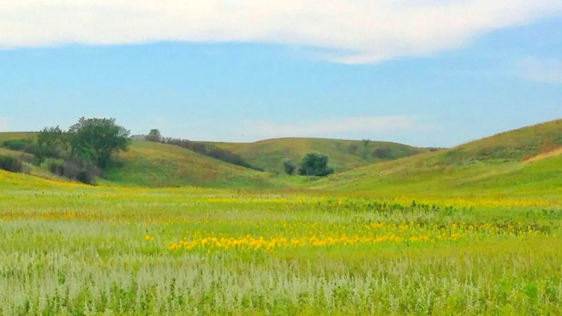 Arrowwood National Wildlife Refuge: North Dakota's Quiet Prairie Escape Two Hours From Fargo