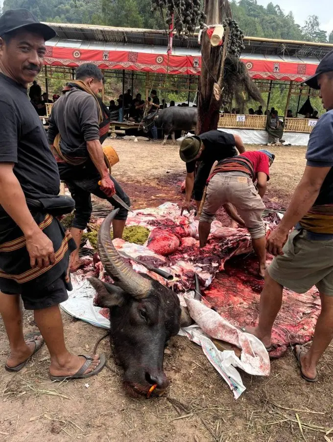 Rambu Solo: Inside Toraja's Buffalo Funerals in Rantepao
