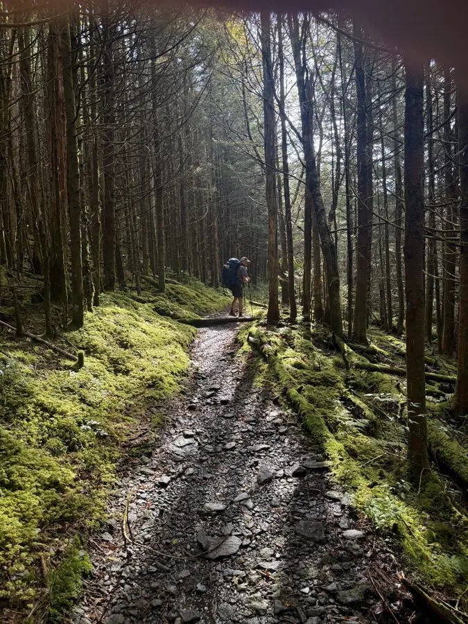 Rain, Bears and 6,300 Feet: Five Days Thru-Hiking the Great Smoky Mountains on the Appalachian Trail