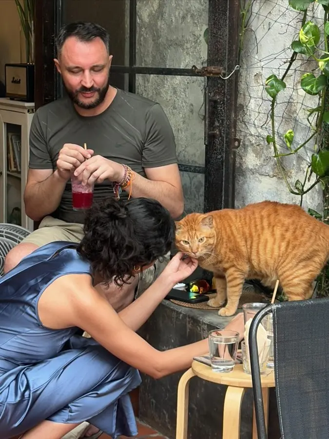 This Chubby Ginger Cat in Da Nang Is Now a Legitimate Travel Attraction