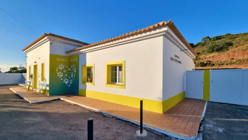Tavira opens its animal shelter doors for World Animal Day this October