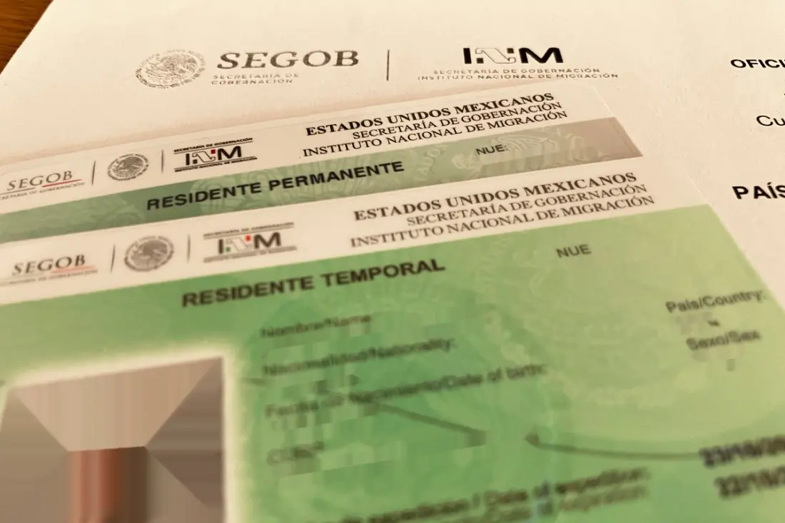 Need Help at Mexico's Immigration Office? Accompanied Assistance Explained