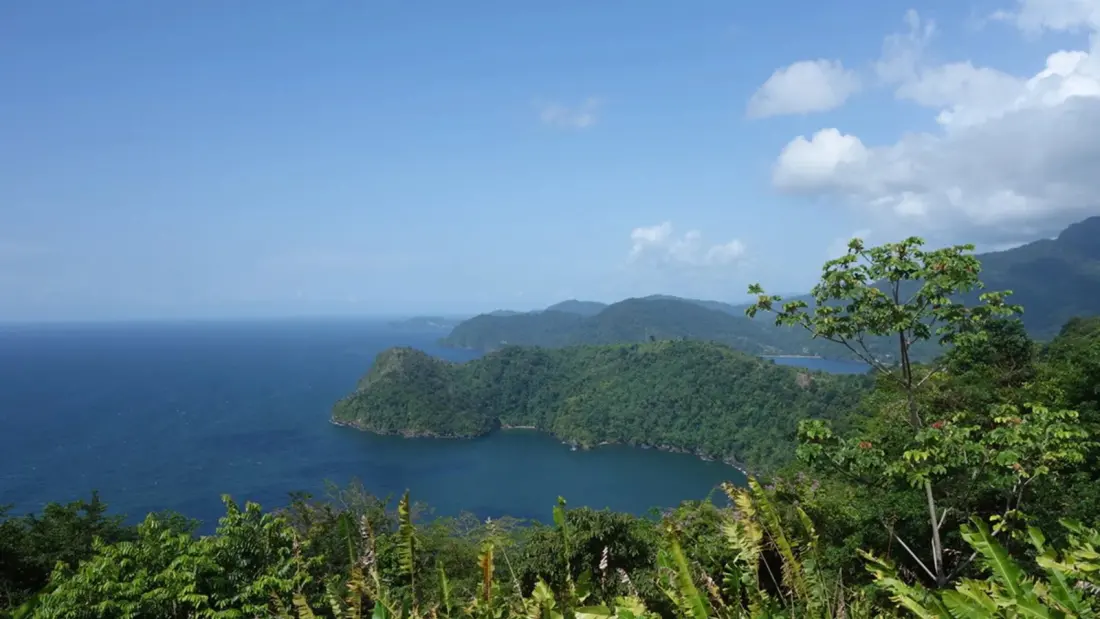 Trinidad and Tobago Leads the Oxford English Dictionary's Newest Caribbean Words