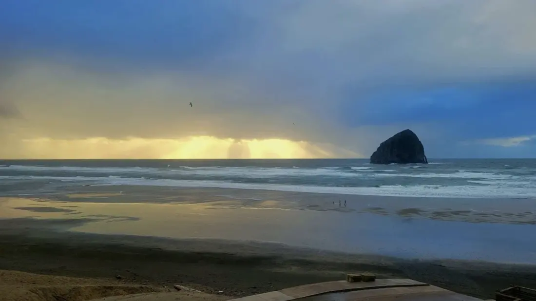 Pacific Beach State Park: Beachfront Camping and Surf Fishing on Washington's Coast