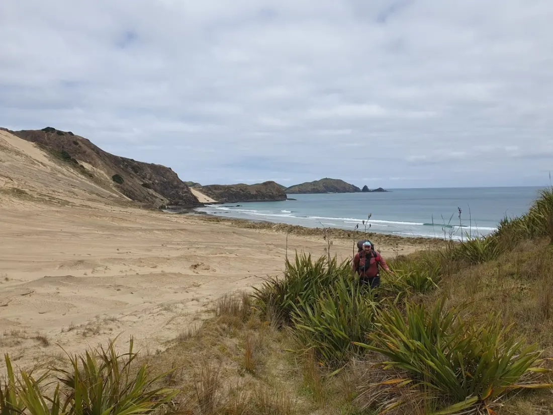 Day one on Te Araroa: dolphins, dunes and a short, sweet start at Cape Reinga
