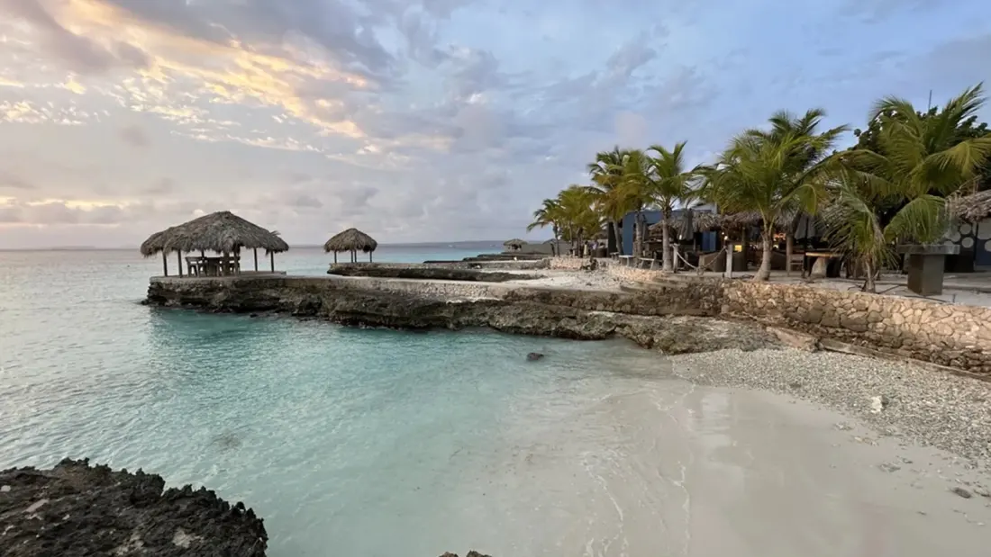 Bonaire Beyond the Reef: Four Bars That Map the Island's Day