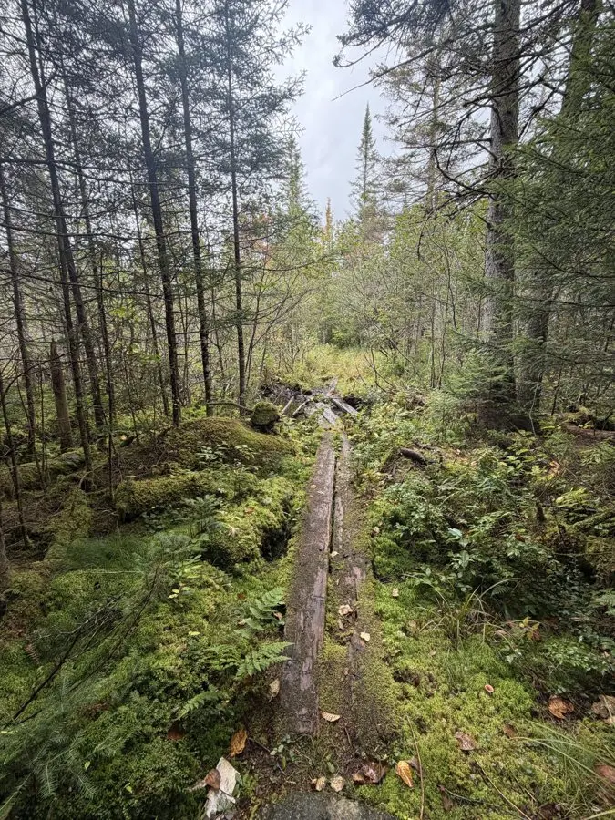 Nine Days in the Adirondacks: What Finishing the Northville-Placid Trail Actually Feels Like