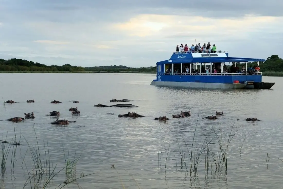 Skip the game drive: seven South African wildlife spots best seen from a boat
