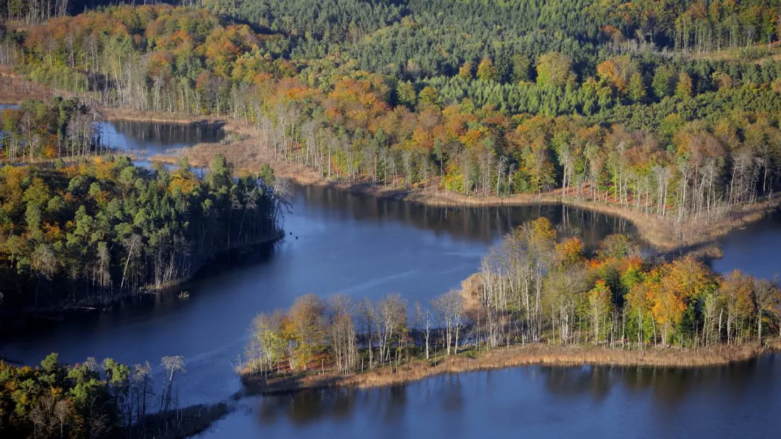 Müritz National Park: Where Germany's 'Land of a Thousand Lakes' Puts Its Wild Side on Show