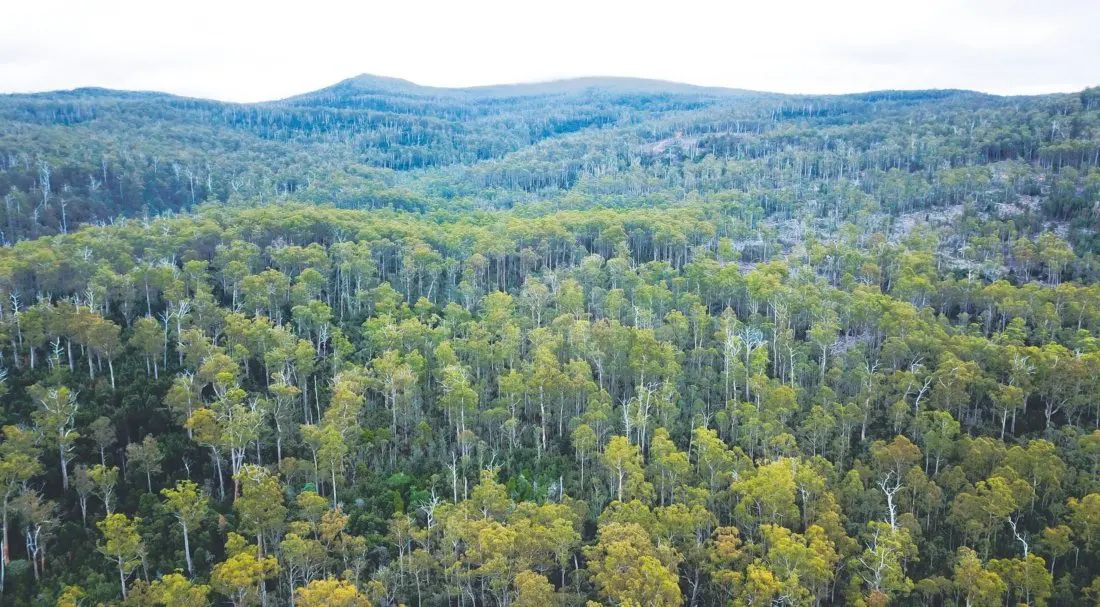 Four Australian Wild Places Under Pressure — From the Overland Track's Backyard to the Kimberley