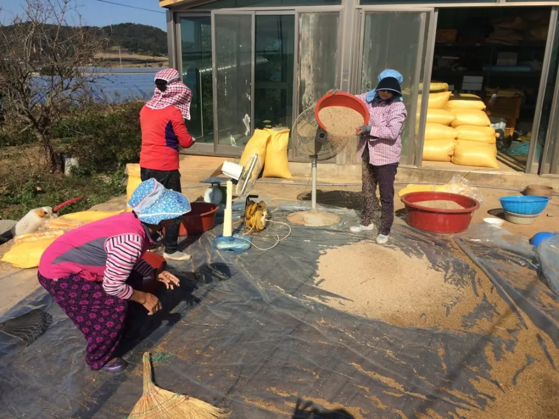 Queensbucket: The Seoul Producer Giving Sesame Oil the Olive Oil Treatment