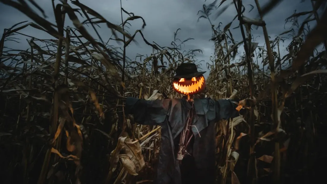 Field of Screams returns to K3 Corn Maze near Edmonton with a haunted Halloween twist