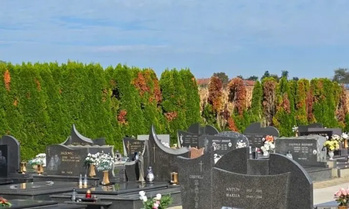 Croatian Town Puts QR Codes at Cemetery Gates to Help Visitors Find Graves