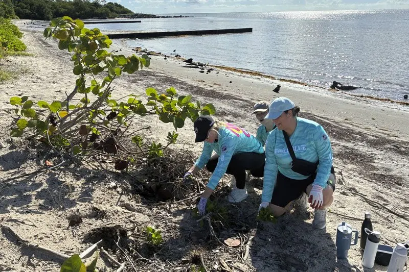 NCLH Volunteers Hit Virginia Key Beach for International Coastal Cleanup Day