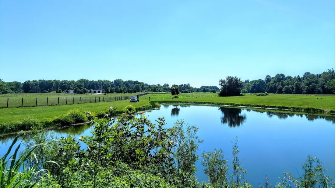 Possum Creek MetroPark: Dayton's Quiet 580-Acre Escape With a Lake, Prairie and Farm Animals
