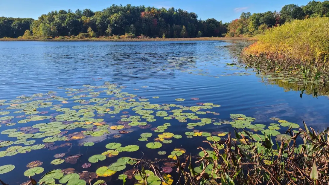 Brighton Recreation Area: Michigan's Lake-Dotted Park Halfway Between Detroit and Lansing