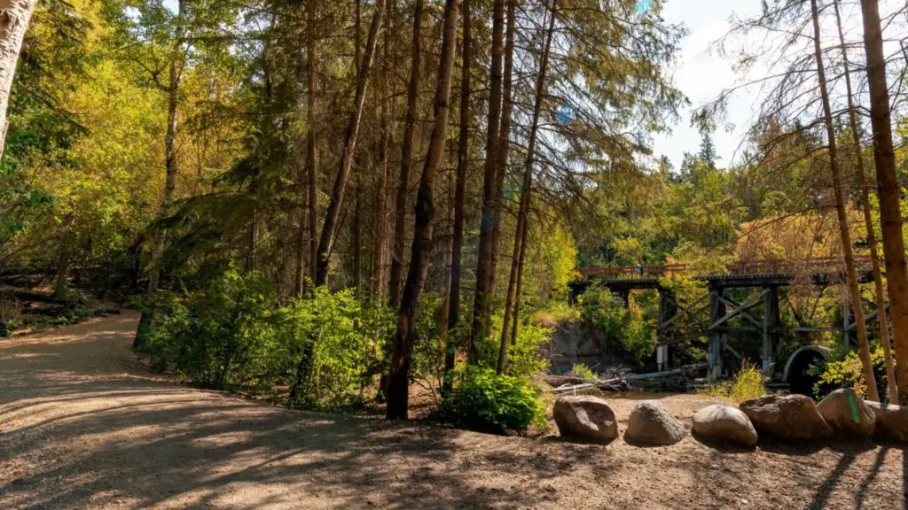 Edmonton's river valley is showing off: five parks for fall colours