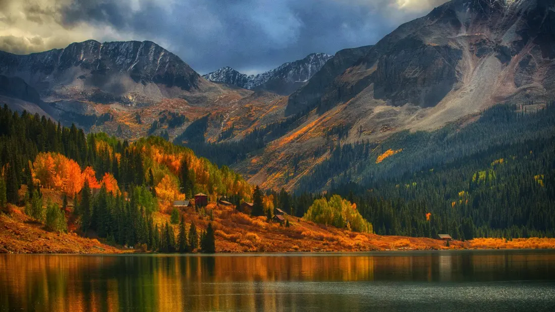 Colorado's Fall Foliage Season Comes With a Surge in Bear Encounters