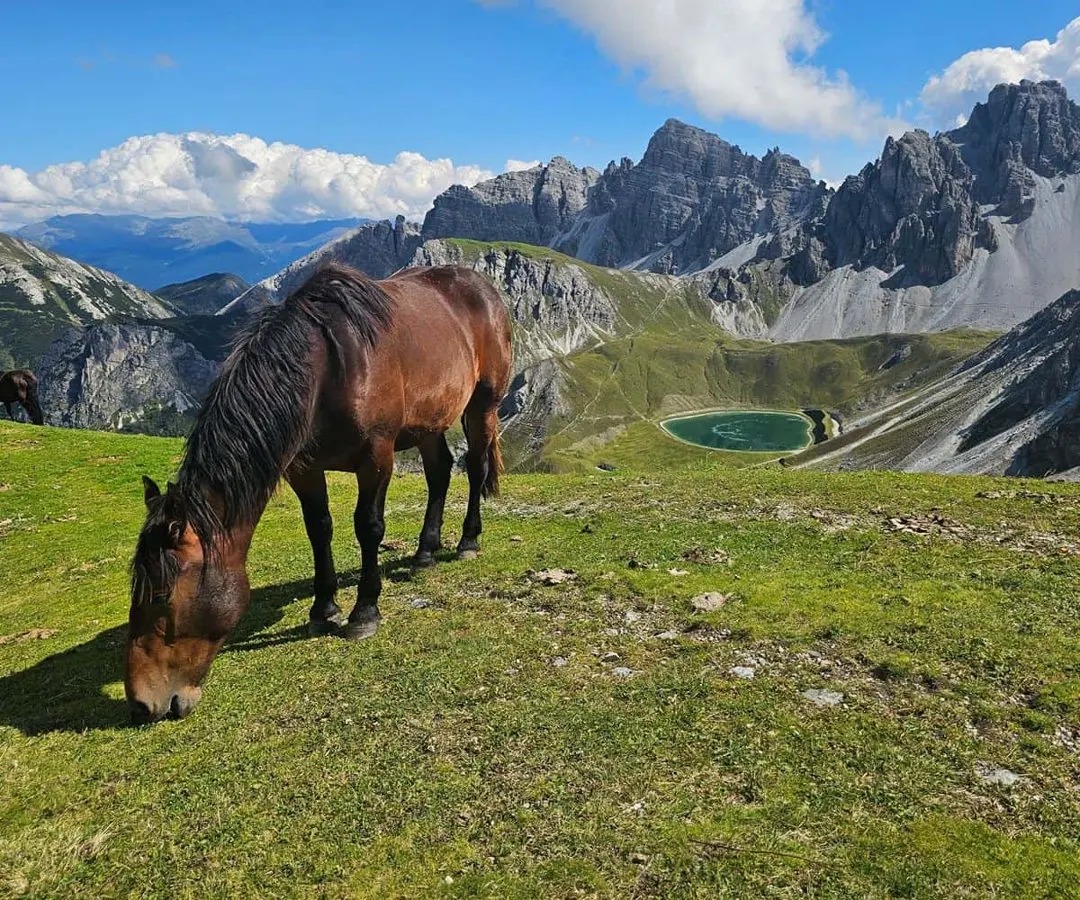Hochtennbodensteig: the high-altitude Innsbruck day hike with lunch above the clouds