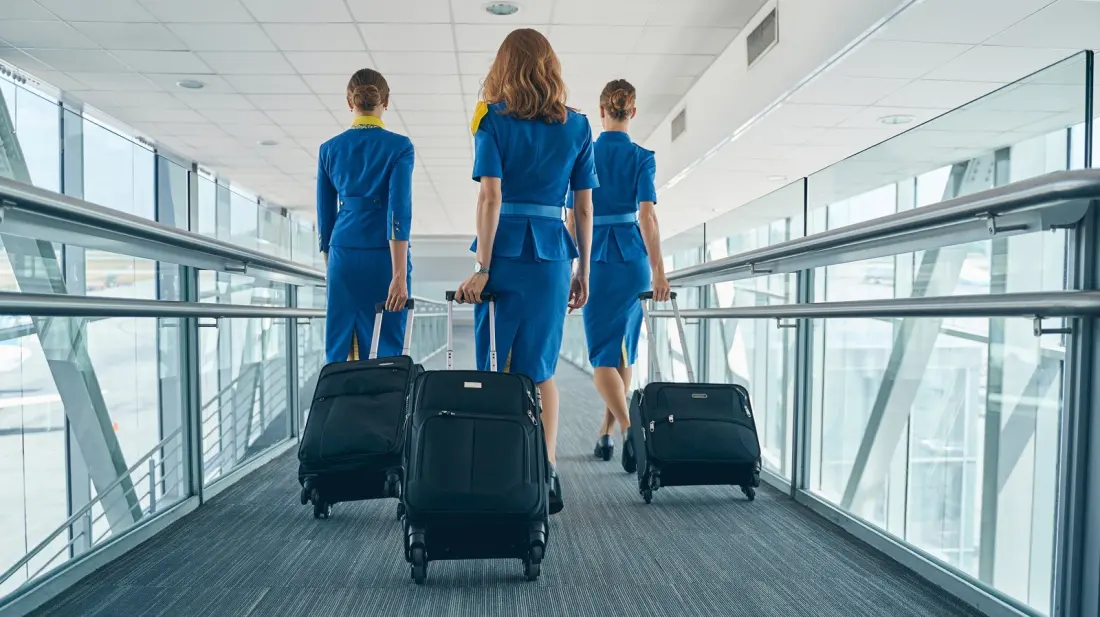 Why Flight Attendants Swear By Travelpro Luggage — And Why Secondhand Is The Smart Buy