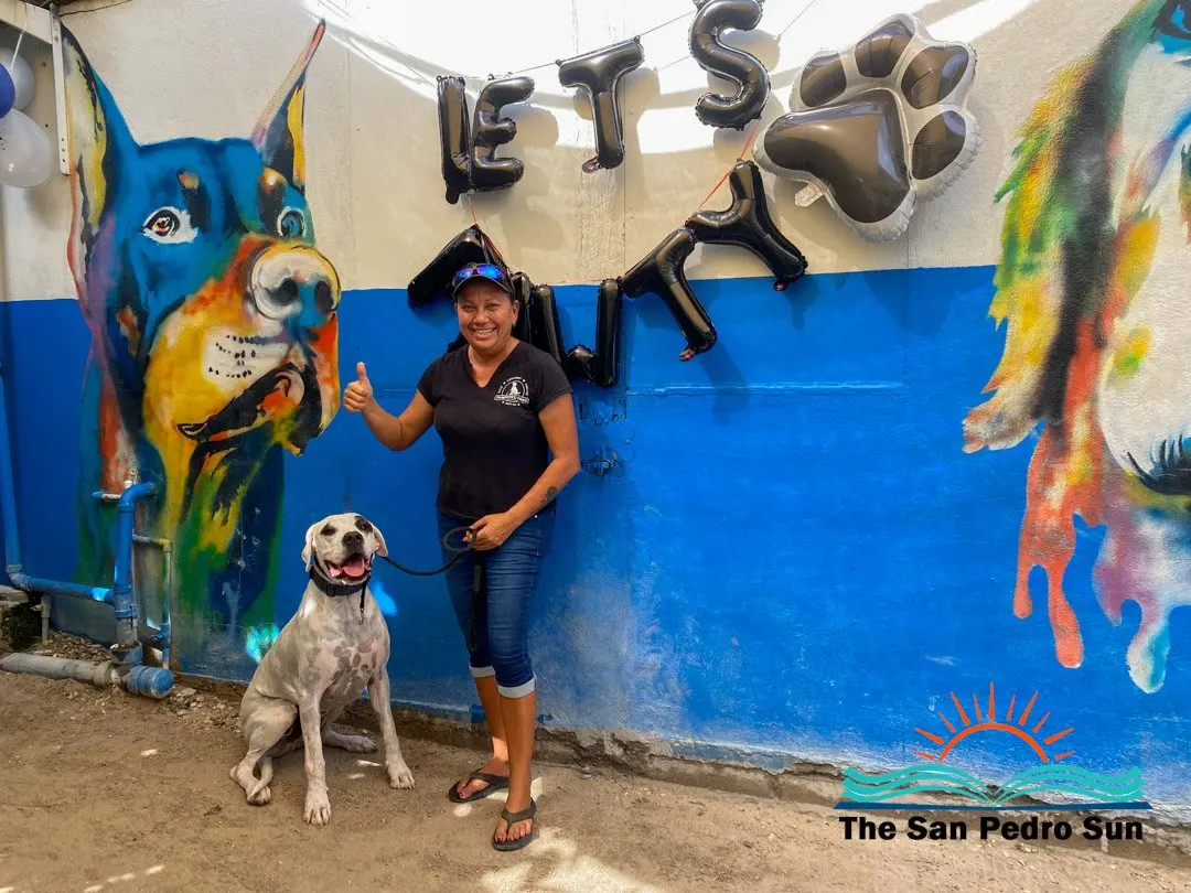 San Pedro's Pampered Paws Marks 25 Years of Grooming, Daycare and Dog Boarding on Ambergris Caye