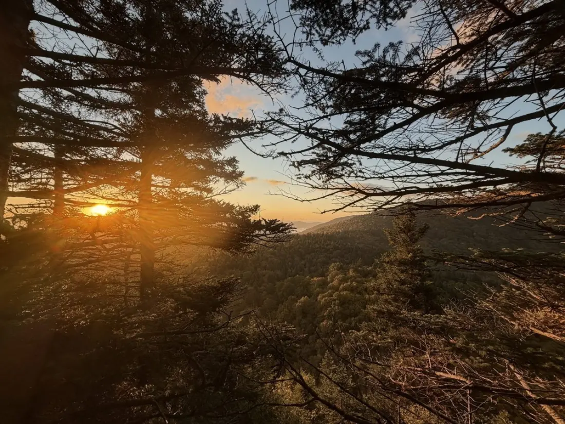 Solo Over Camel's Hump: A Long Trail Diary of Fog, Moose and Hard Descents