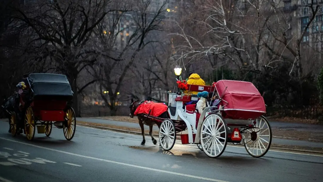 New York votes to end Central Park's horse-drawn carriage rides