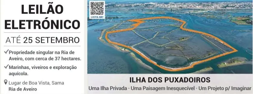 A Whole Island in Portugal's Aveiro Lagoon Is Up for Auction — Starting at €600,000