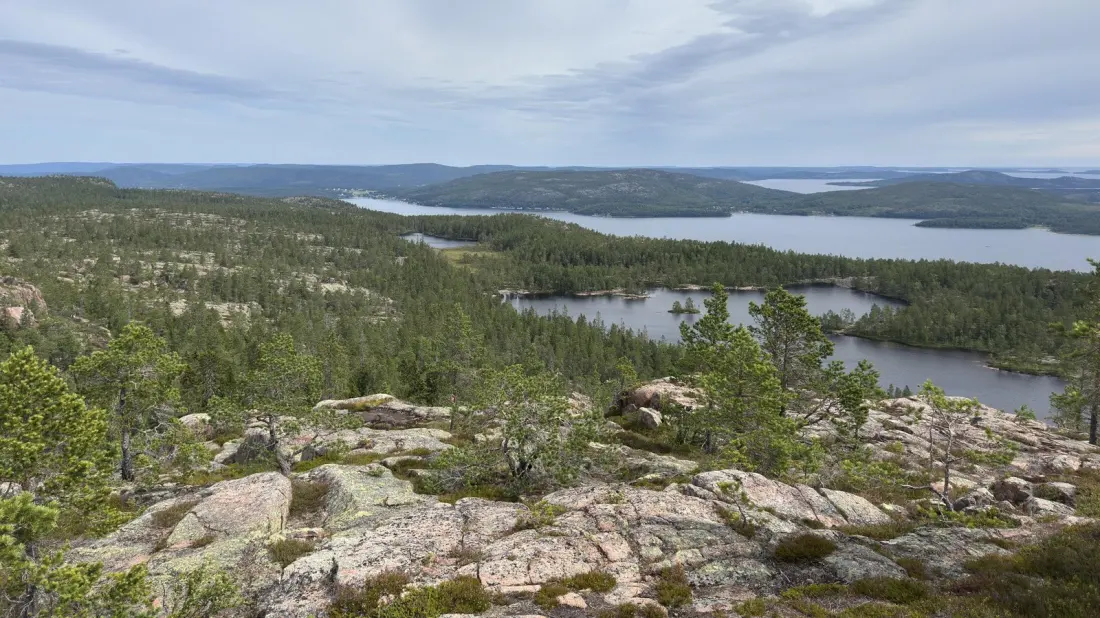 Skuleskogen: Sweden's Free Coastal National Park Where Forest Meets the Gulf of Bothnia